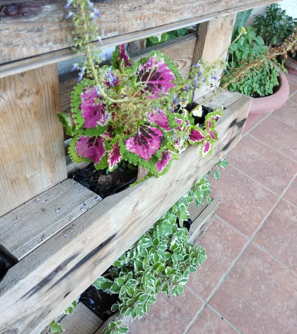 Guesthouse La Villa Zanica 0*,  Italy